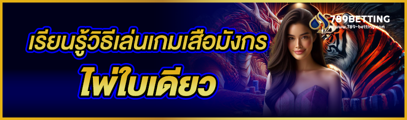 เรียนรู้วิธีเล่นเกมเสือมังกร ไพ่ใบเดียว